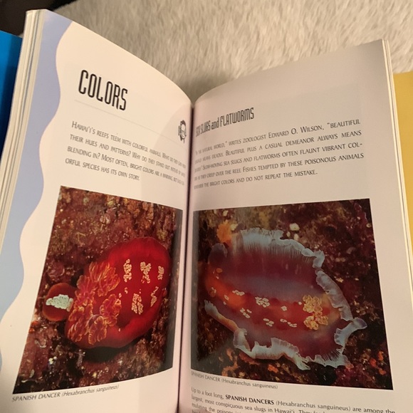 🧚🏿♂️3/$12🧚🏿♂️ Hawaiin Ocean life - Picture 7 of 7